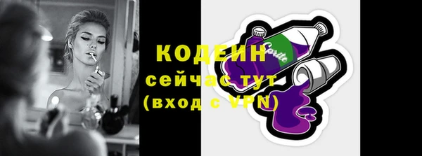 гашик Елабуга