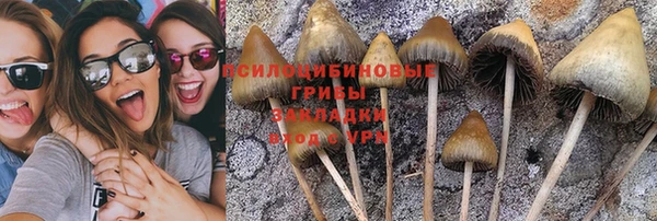 прущий лед Нязепетровск
