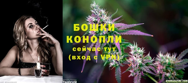 прущая мука Няндома