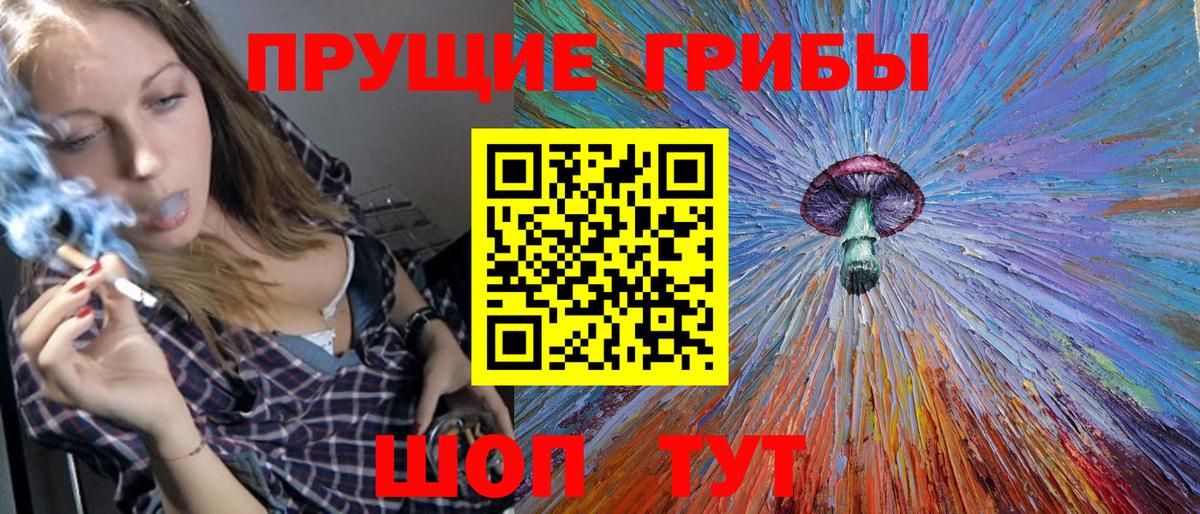 Псилоцибиновые грибы мицелий  Амурск  Псилоцибиновые грибы прущие грибы 