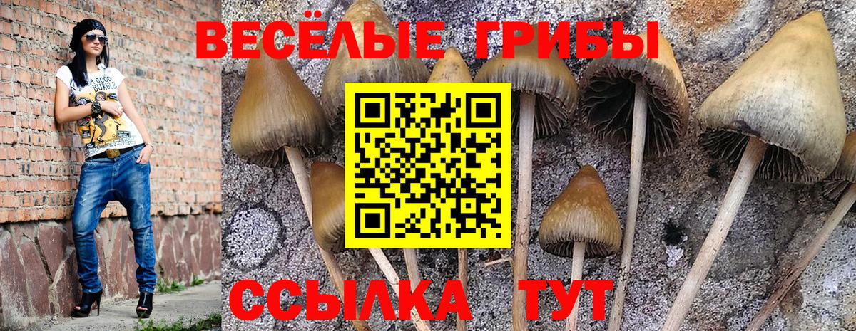 Псилоцибиновые грибы MAGIC MUSHROOMS Амурск